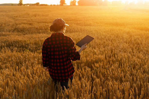 istock Woman farmer with a digital tablet 1253080317