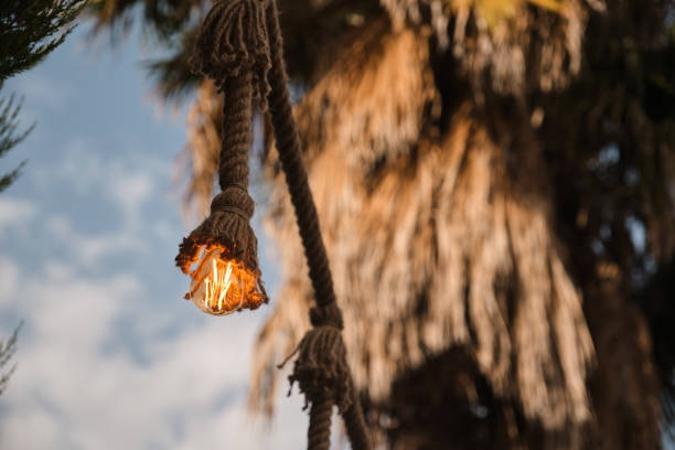 istock Decorative garden lighting design made with bulbs and thick rope 1253083883