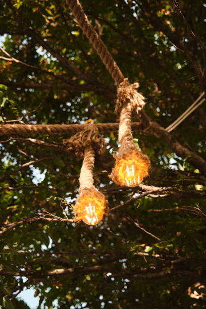 istock Decorative garden lighting design made with bulbs and thick rope 1253084701