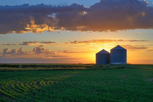Prairie sunrise on metal grain bins near the city of Moose Jaw, Saskatchewan, Canada