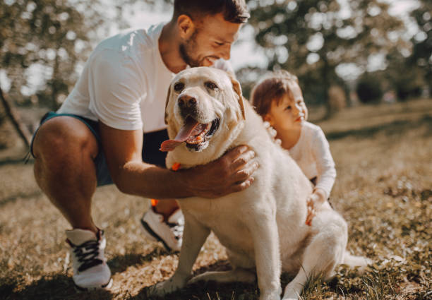 istock Father and daughter walking together with dog 1253086133