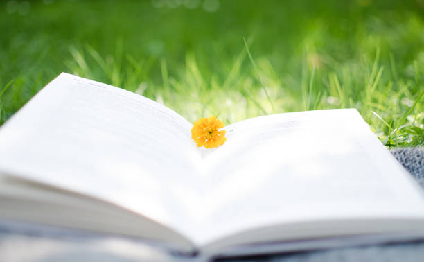 istock Open book and flowers for a good rest 1253086242