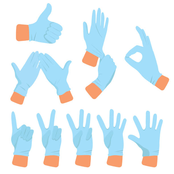 ilustrações de stock, clip art, desenhos animados e ícones de hands in medical sterile rubber gloves. - glove