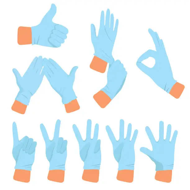 Vector illustration of Hands in medical sterile rubber gloves.