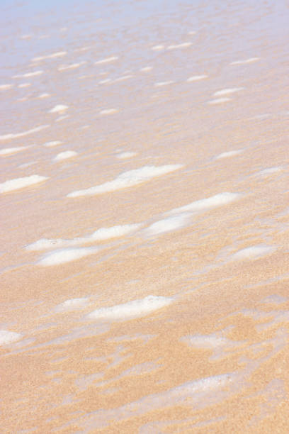 istock Sea Foam Blobs Floating Hawaii Beach 1253088177