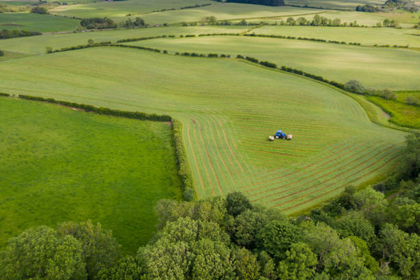 vista aérea de un tractor que ha terminado de cortar hierba en un campo en la zona rural de dumfries y galloway, al suroeste de escocia. - silage field hay cultivated land fotografías e imágenes de stock