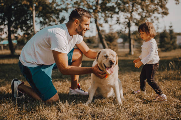 istock Father and daughter walking together with dog 1253088368