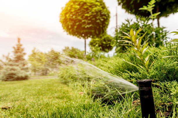 istock Irrigation system watering garden lawn. Landscape design. 1253088628