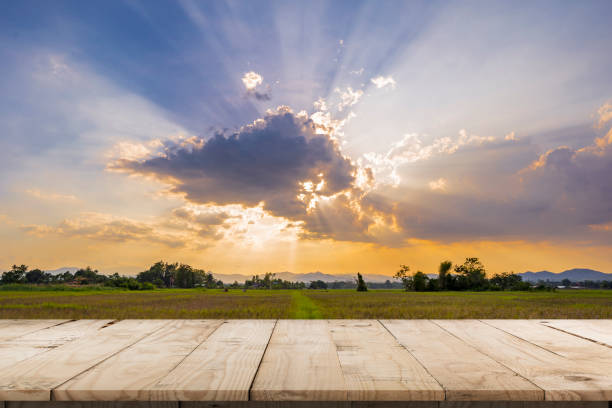 istock Rice field sunset and Empty wood table for product display and montage. 1253091500