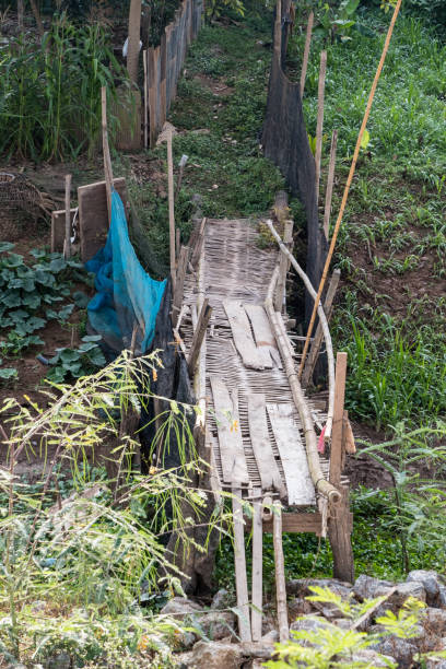 istock Old bamboo bridge is crossing the small canal. 1253091623
