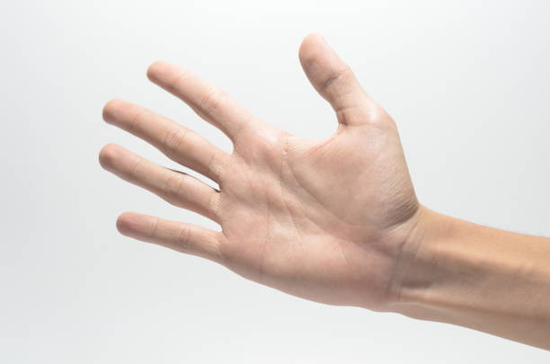 istock hand symbol on white isolated white background 1253092691