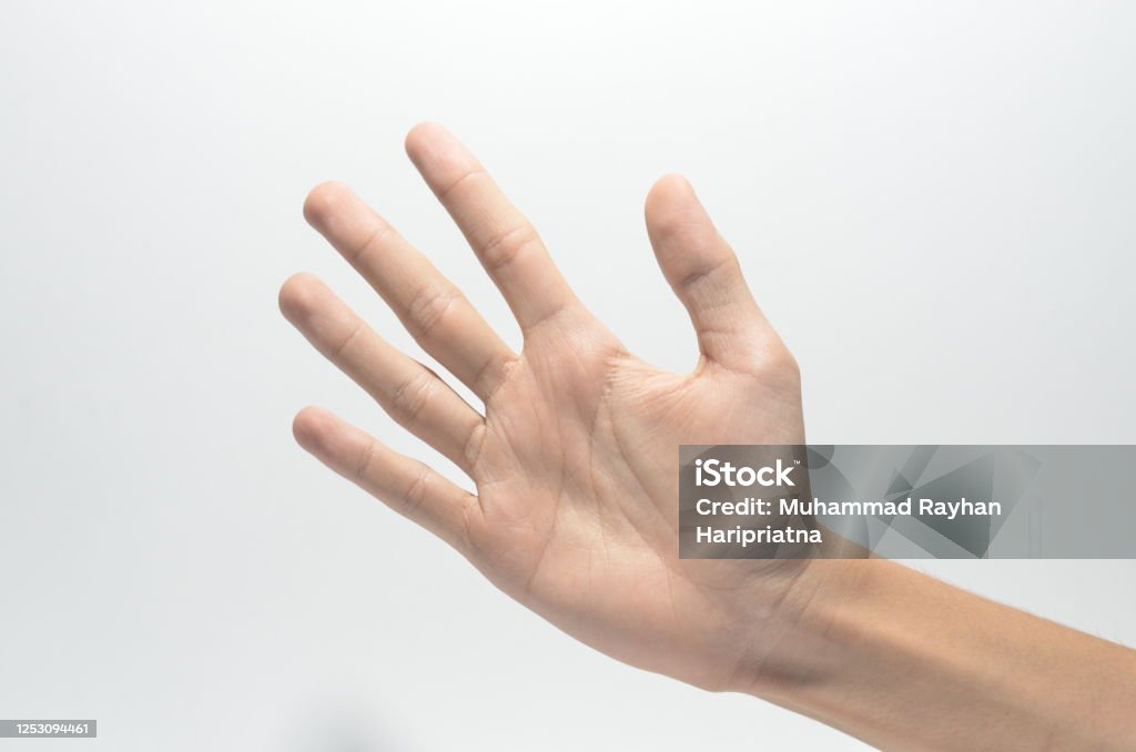 hand symbol on white isolated white background Adult Stock Photo