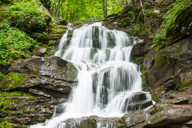 istock Waterfall Shypit in the Carpathian Mountains 1253095747