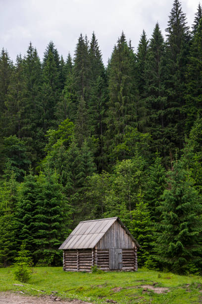 istock Carpathian mountans, Ukraine 1253095753