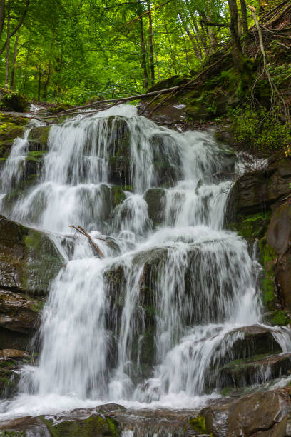 istock Waterfall Shypit in the Carpathian Mountains 1253095810
