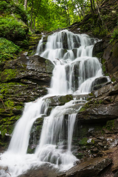 istock Waterfall Shypit in the Carpathian Mountains 1253095823