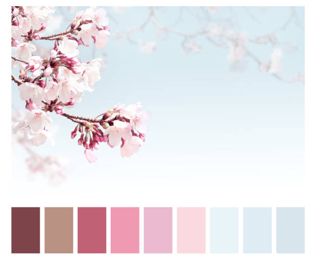 istock Color matching palette with complimentary colour swatches 1253098694