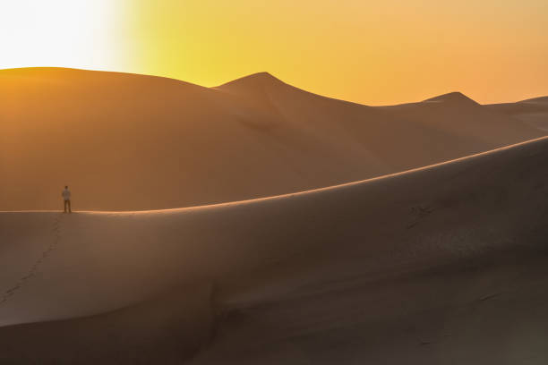 istock Man walking on the edge of Dune 7 1253098810