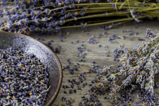 istock Dried lavender flowers 1253100027