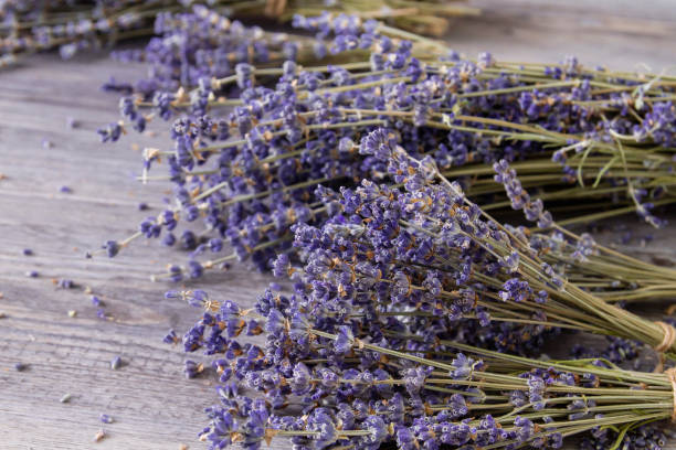 istock Lavender dry flowers 1253100030