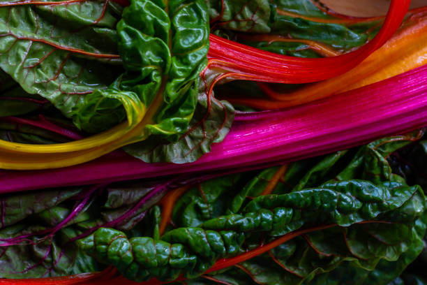 istock Colorful swiss chards 1253100079
