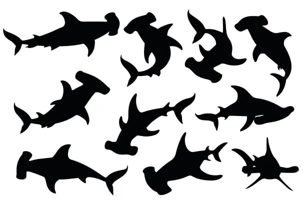 Vector illustration of Black silhouette set of hammerhead shark underwater giant animal simple cartoon character design flat vector illustration isolated on white background