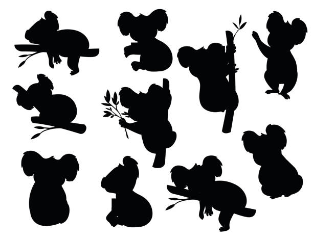 schwarze silhouette satz von niedlichen grauen koala bär in verschiedenen posen essen schlafende blätter cartoon tier design flache vektor-illustration isoliert auf weißem hintergrund - koala australia animal isolated stock-grafiken, -clipart, -cartoons und -symbole