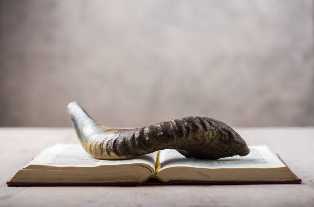 Rosh Hashanah (Hashana) (jewish New Year holiday) concept with Ram shofar (horn) with religious holy prayer book on table Rosh Hashanah (Hashana) (jewish New Year holiday) concept with Ram shofar (horn) with religious holy prayer book on table synagogue photos stock pictures, royalty-free photos & images