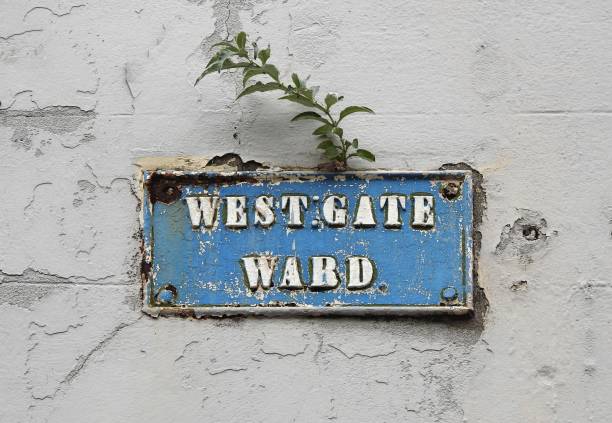 istock Westgate Ward street sign 1253104834