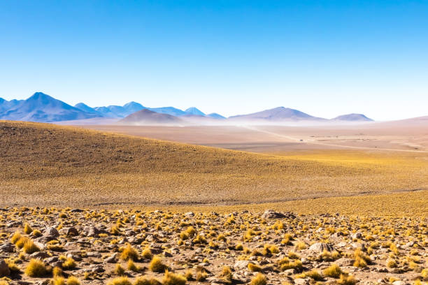 istock Scenic road in the Atacama desert, Chile 1253105067