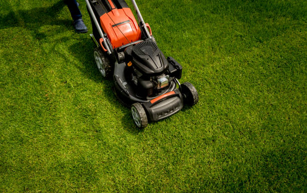 istock Lawn mower on green grass. Summer garden 1253105369