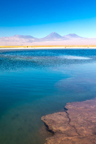 istock Cejar lagoon and Licancabur volcano in Atacama, Chile. 1253106175