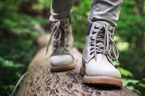 Hiking boot. Hiker walking at fallen tree trunk in forest. Tourist wearing waterproof leather shoes