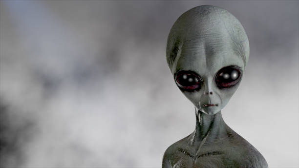 Scary gray alien stands and looks blinking on a dark smoky background. UFO futuristic concept. 3D rendering. Scary gray alien stands and looks blinking on a dark smoky background. UFO futuristic concept. 3D rendering. grey alien stock pictures, royalty-free photos & images