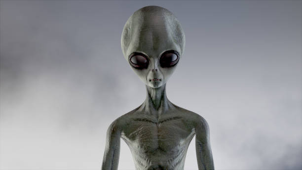 Scary gray alien stands and looks blinking on a dark smoky background. UFO futuristic concept. 3D rendering. Scary gray alien stands and looks blinking on a dark smoky background. UFO futuristic concept. 3D rendering. alien grey stock pictures, royalty-free photos & images