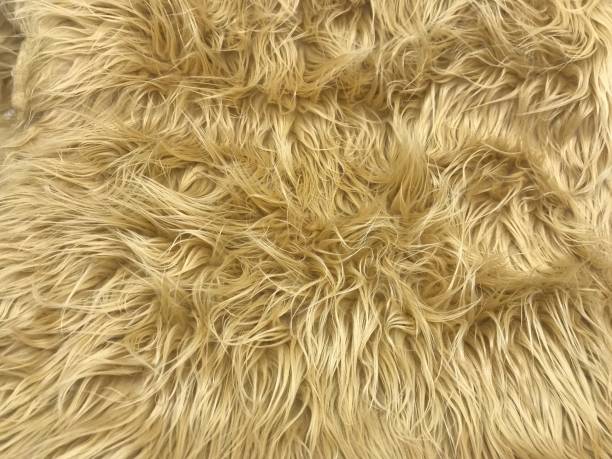 Shaggy faux fur texture in tan rug texture for background Shaggy faux fur texture in tan rug texture for background shaggy fur stock pictures, royalty-free photos & images