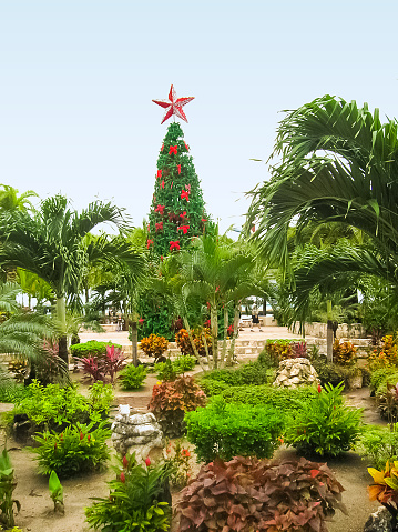 The christmas tree near shopping area at park near sea port at Cozumel, Mexico