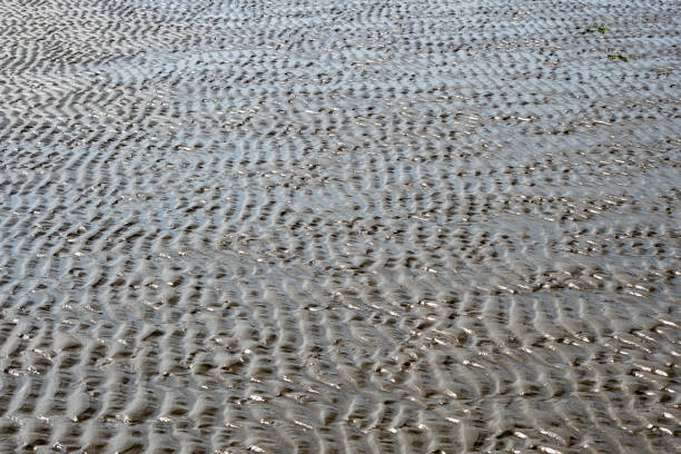 istock Sand formed by water and wind on the North Sea 1253114696