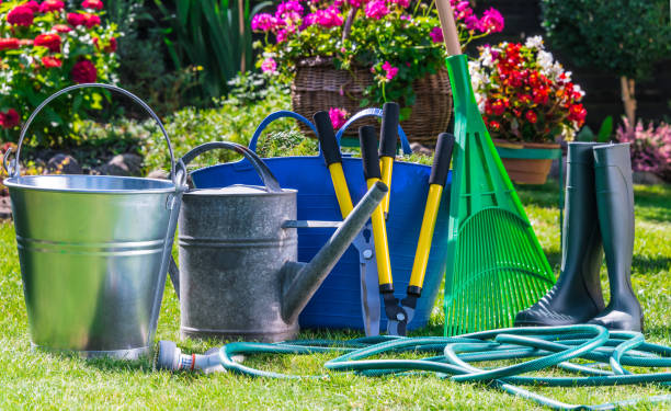 istock Gardening tools on the grass in the garden 1253115382