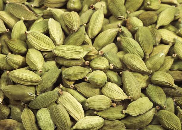 istock Cardamom Seeds, elettaria cardamomum 1253118285