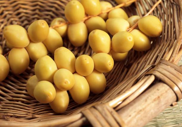istock Fresh Dates, phoenix dactylifera, Fruits in a Basket 1253119295