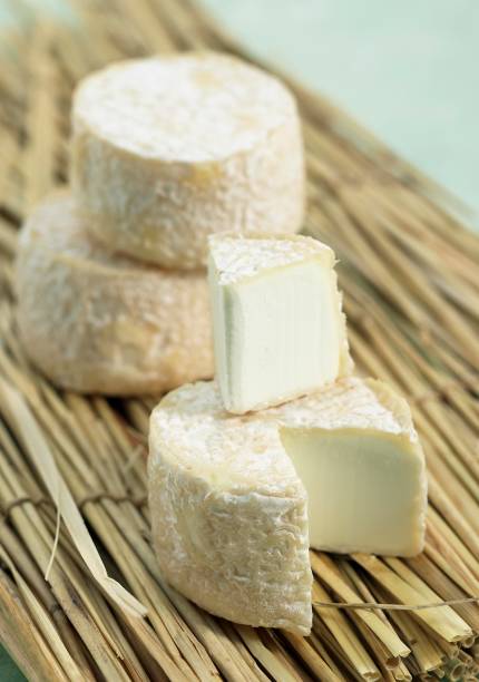 istock French Cheese Called Crottin, Cheese made with Goat Milk 1253119696