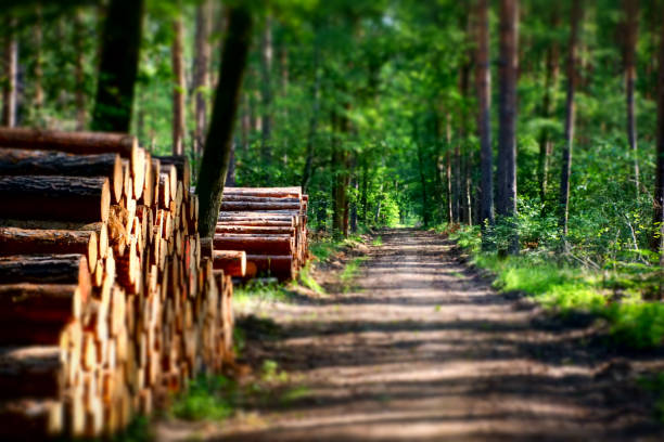 Photo taken in Berlin, Germany