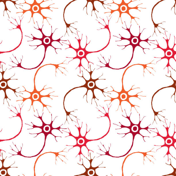 Seamless pattern of neurons of human nervous system Vector background of neurons of human nervous system. human cell nucleus stock illustrations