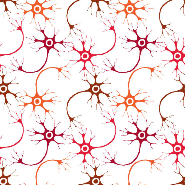 Seamless pattern of neurons of human nervous system Vector background of neurons of human nervous system. neuron axon stock illustrations