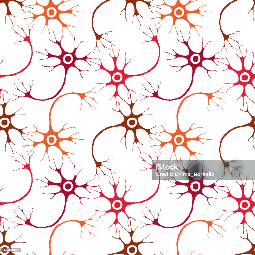 Mô Hình Liền Mạch Của Tế Bào Thần Kinh Của Hệ Thần Kinh Người Hình ...