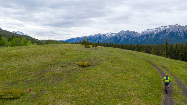 istock Aerial view as mountain e-biker rides along rural path, through landscape 1253123100