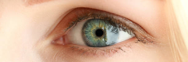 istock Female left grey green coloured amazing eye 1253123297