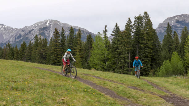 istock Couple on mountain e-bikes ride through rural landscape 1253128560