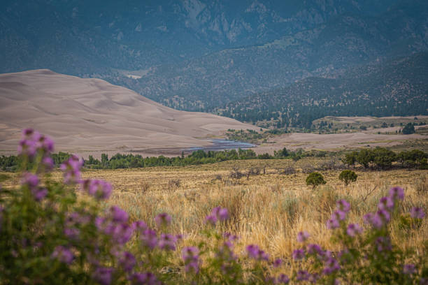 Sand Dunes National Park in spring